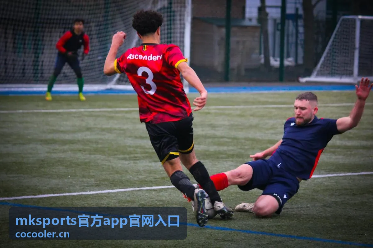 mksports官方app官网入口 - 正版应用展示